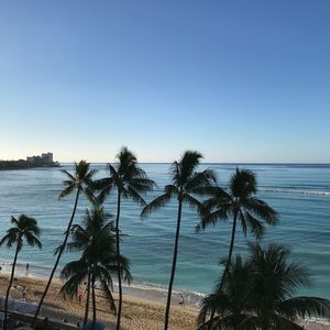 Meet your Posher, Cyndi